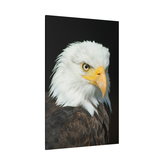 Majestic Eagle Head Canvas Wall Art – Wildlife Photography for Nature Enthusiasts