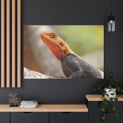 Golden-Hued Lizard Canvas Wall Art – Exotic Wildlife Print for Nature-Inspired Home Decor