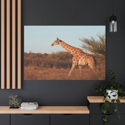 Graceful Giraffe Canvas Wall Art – A Majestic Symbol of the Wild