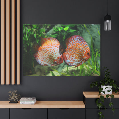 Discus Fish Harmony Canvas Wall Art – Vibrant Aquarium Scene