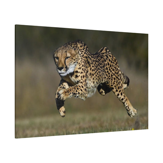 Dynamic Cheetah Chase Canvas Wall Art - Wildlife in Action