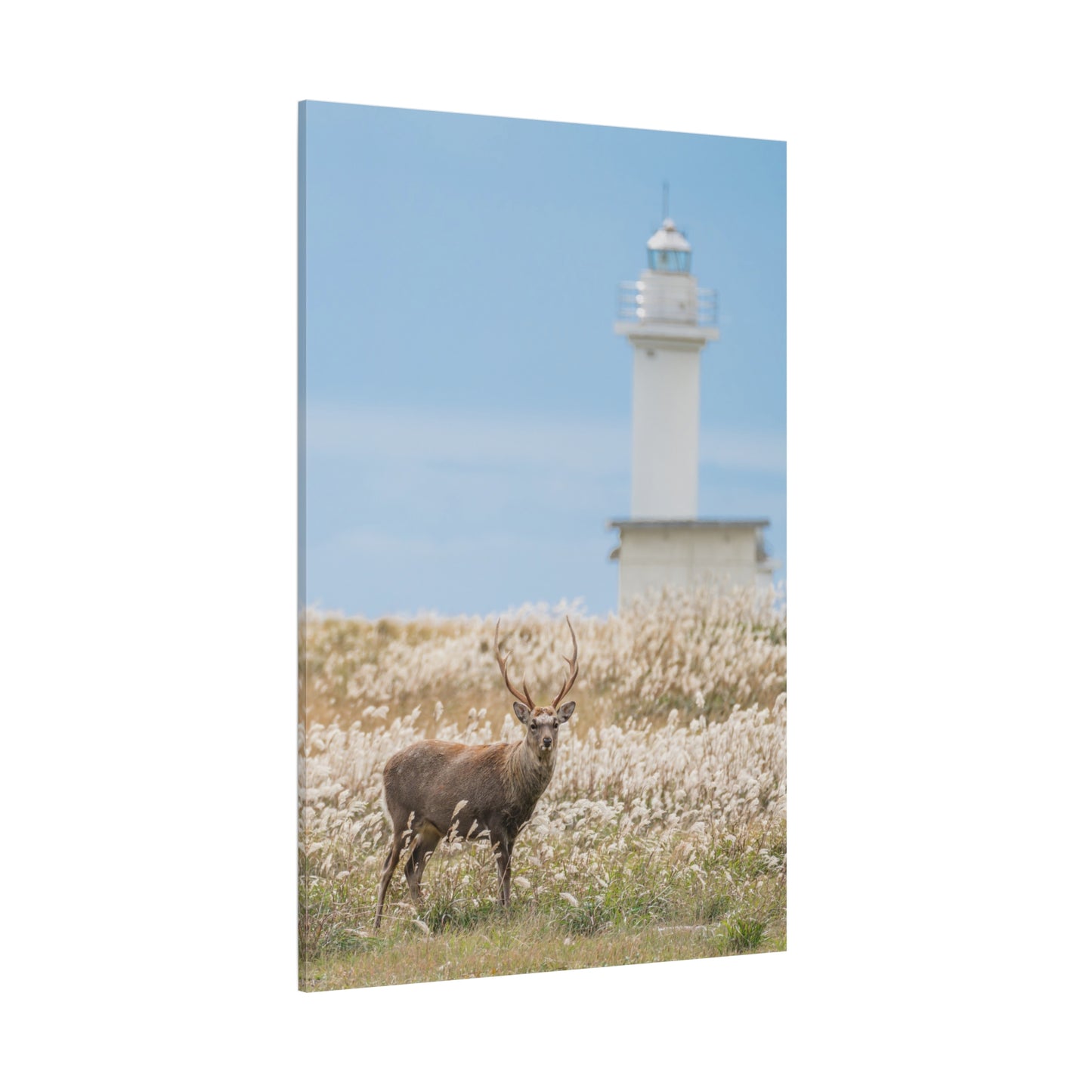 Hokkaido Sika Deer Canvas Wall Art – Majestic Wildlife Beauty