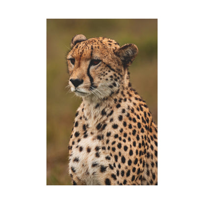 Savanna's Grace: Majestic Cheetah Canvas Wall Art