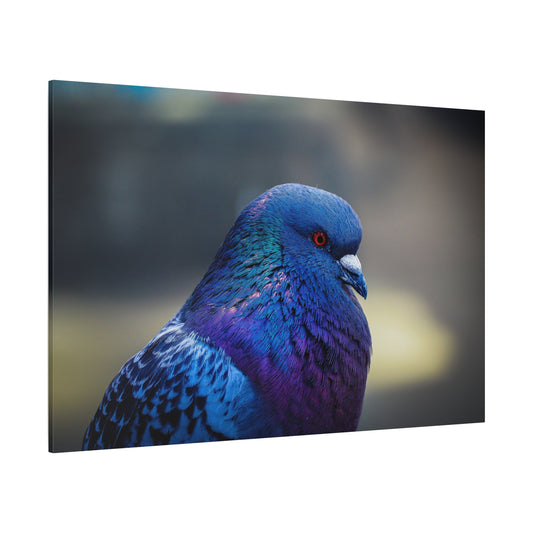 Serene Pigeon Canvas Art – Elegant Bird Feathers Print