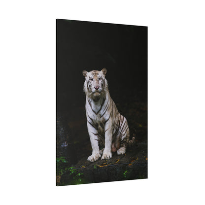 Majestic White Tiger Canvas Wall Art – A Fierce Beauty