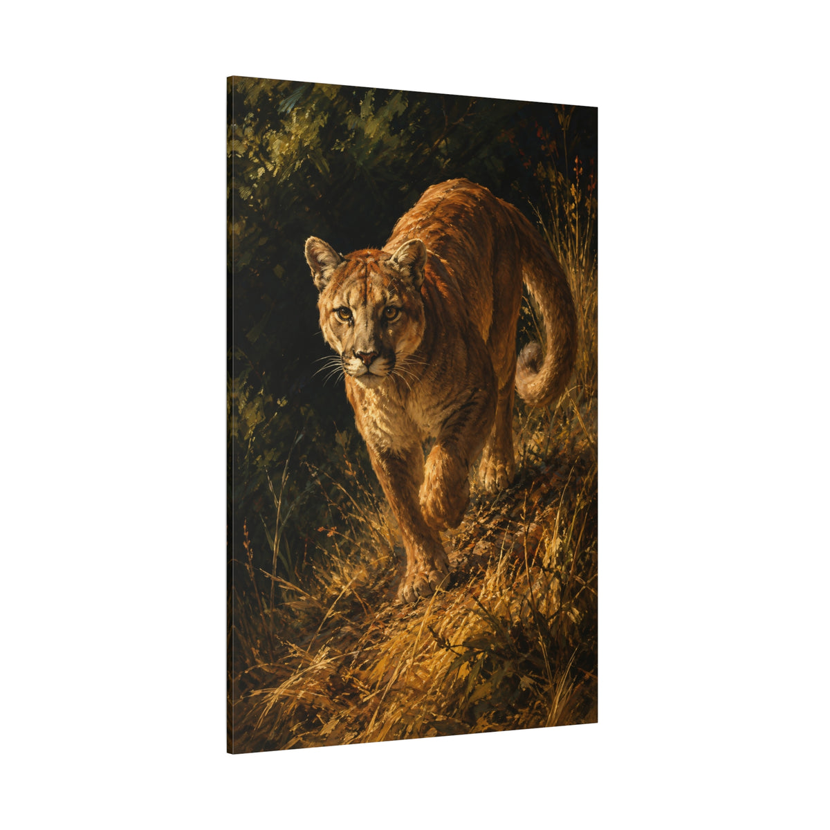 Prowling Cougar in Golden Grass Wrapped Canvas Wall Art – Classical Oil Painting Print - ART OF ROYALS