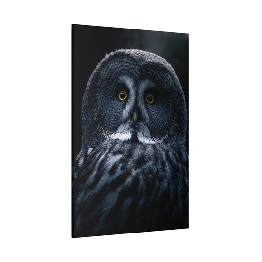 Majestic Owl Canvas Wall Art – Enchanting Forest Night Décor