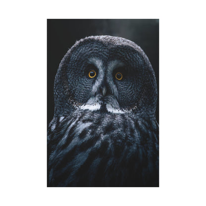 Majestic Owl Canvas Wall Art – Enchanting Forest Night Décor