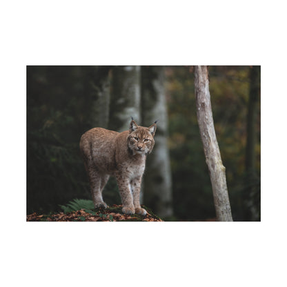 Majestic Lynx Canvas Wall Art