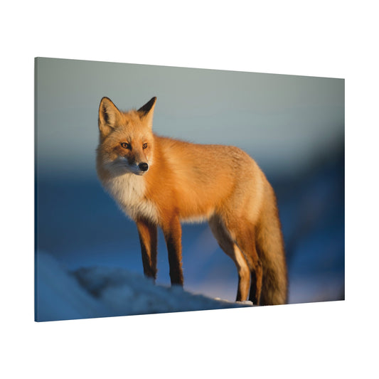 Majestic Red Fox Canvas Wall Art – Wild Beauty and Grace