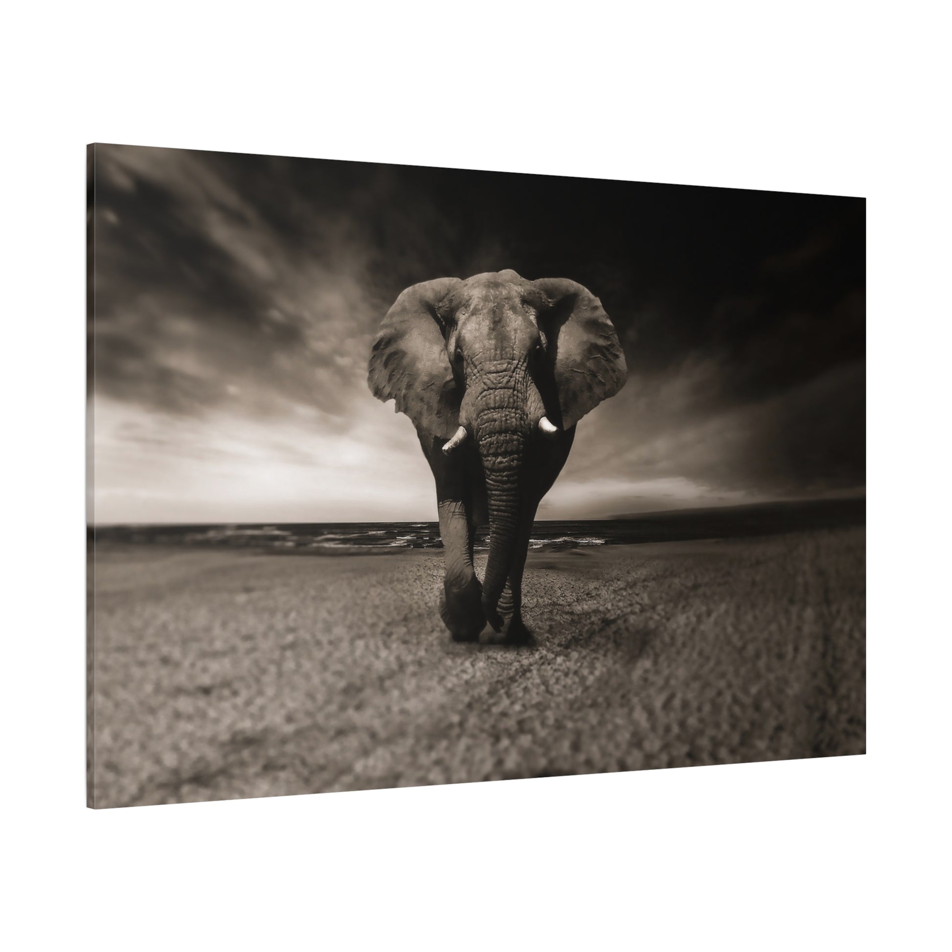 Elegant Black and White Elephant Canvas Wall Art – Timeless Wildlife Decor for Any Space