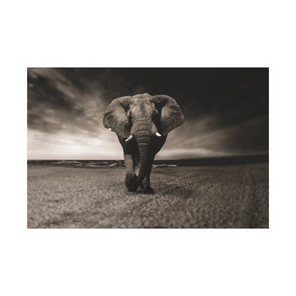 Elegant Black and White Elephant Canvas Wall Art – Timeless Wildlife Decor for Any Space