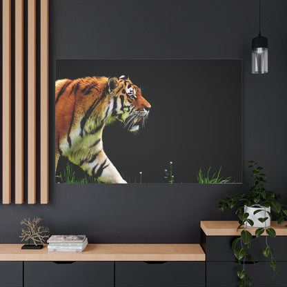 Fierce Tiger Canvas Wall Art – Power and Elegance of the Wild