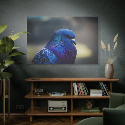 Serene Pigeon Canvas Art – Elegant Bird Feathers Print