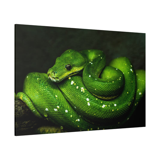 Emerald Green Python Canvas Wall Art – Exotic Wildlife Print for Bold Nature-Inspired Interiors