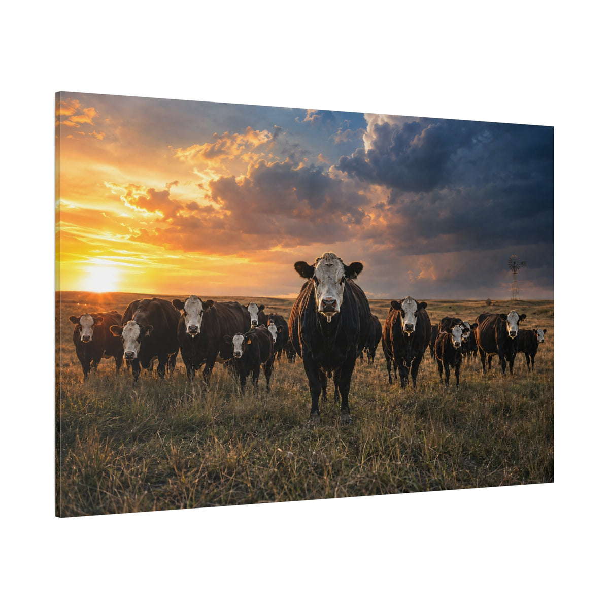 Black Baldy Hereford Cattle Herd at Stormy Sunset Wrapped Canvas Wall Art – White-Faced Ranch Print - ART OF ROYALS