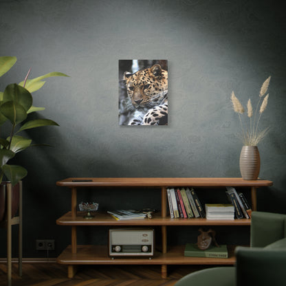 Majestic Cheetah Canvas Wall Art – A Tribute to Grace and Speed