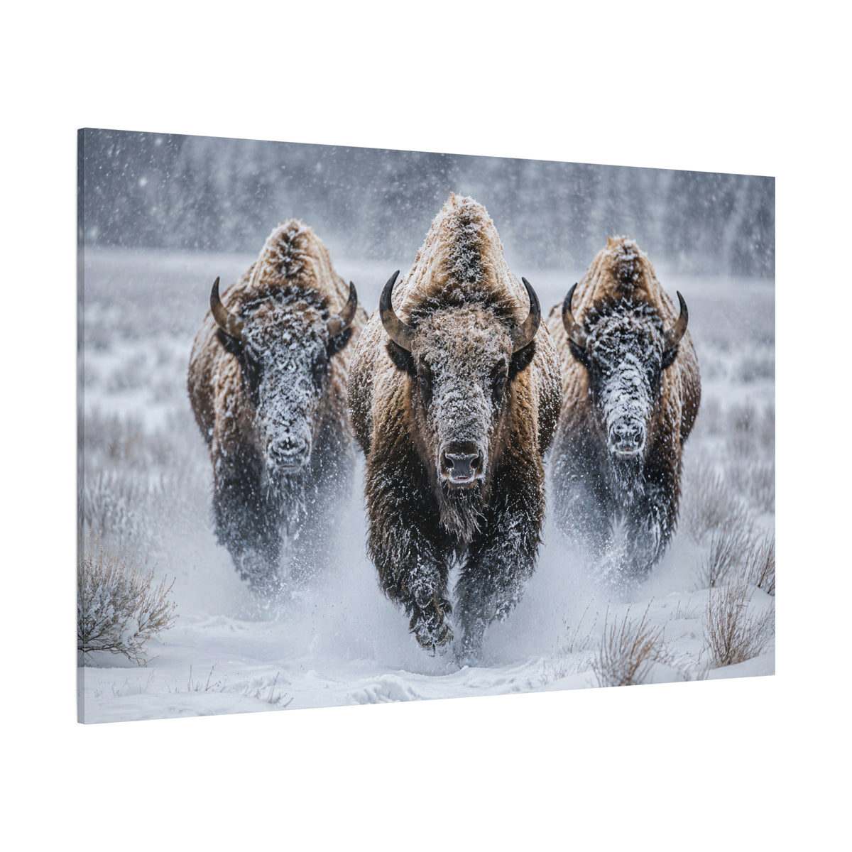 Bison Charging Through Snowstorm Wrapped Canvas Wall Art – Winter Wildlife Photography Print - ART OF ROYALS