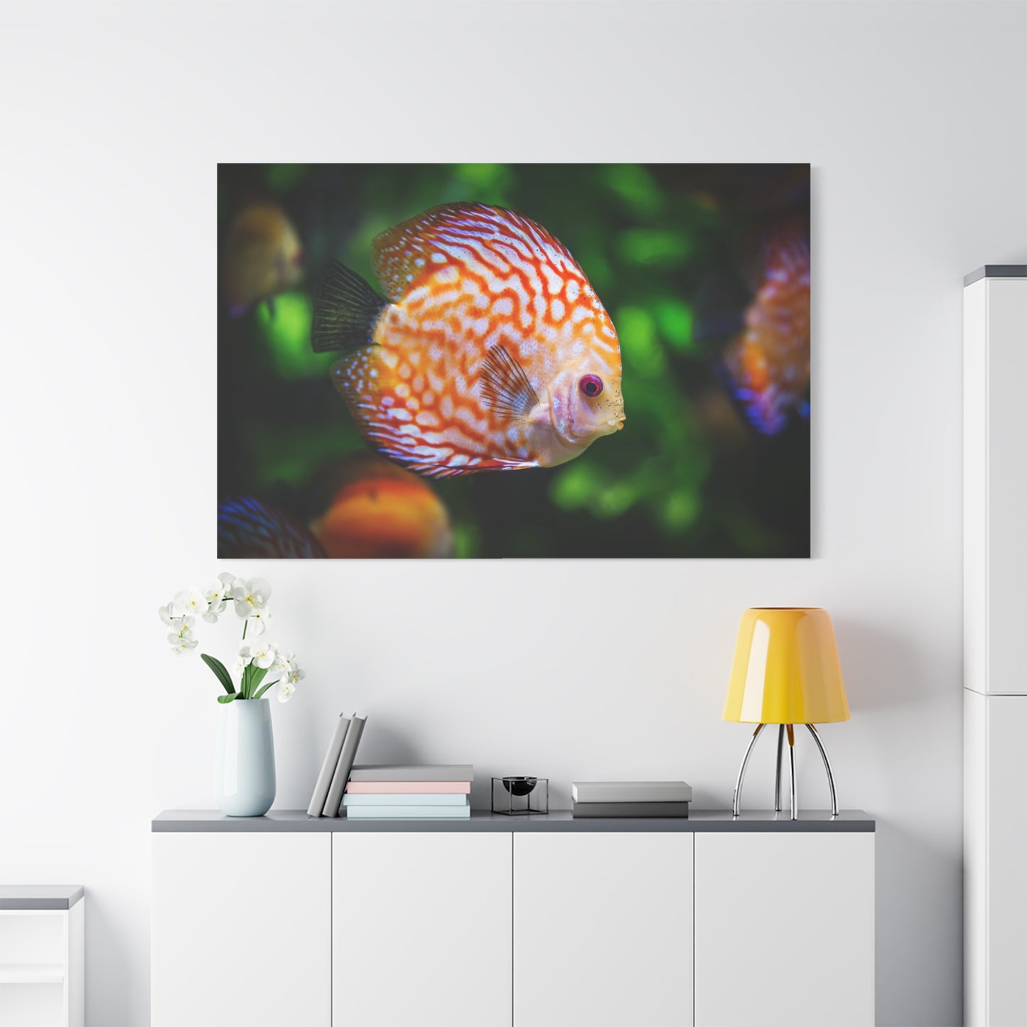 Vibrant Discus Fish Canvas Wall Art – Exotic Aquarium Wildlife Print for Tranquil Spaces