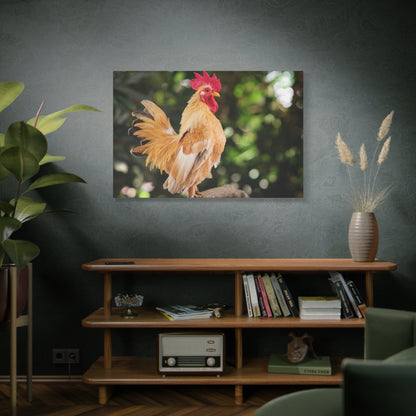 Vibrant Rooster Canvas Wall Art – Rustic Farmhouse Decor