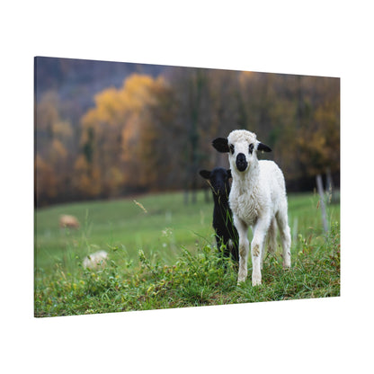 Charming Lamb Canvas Wall Art – Serene Pastoral Beauty