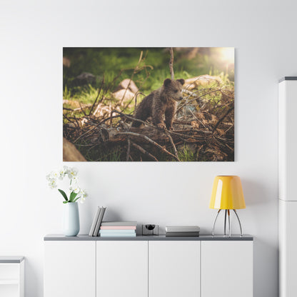 Majestic Brown Bear Canvas Wall Art – Wild Strength and Elegance