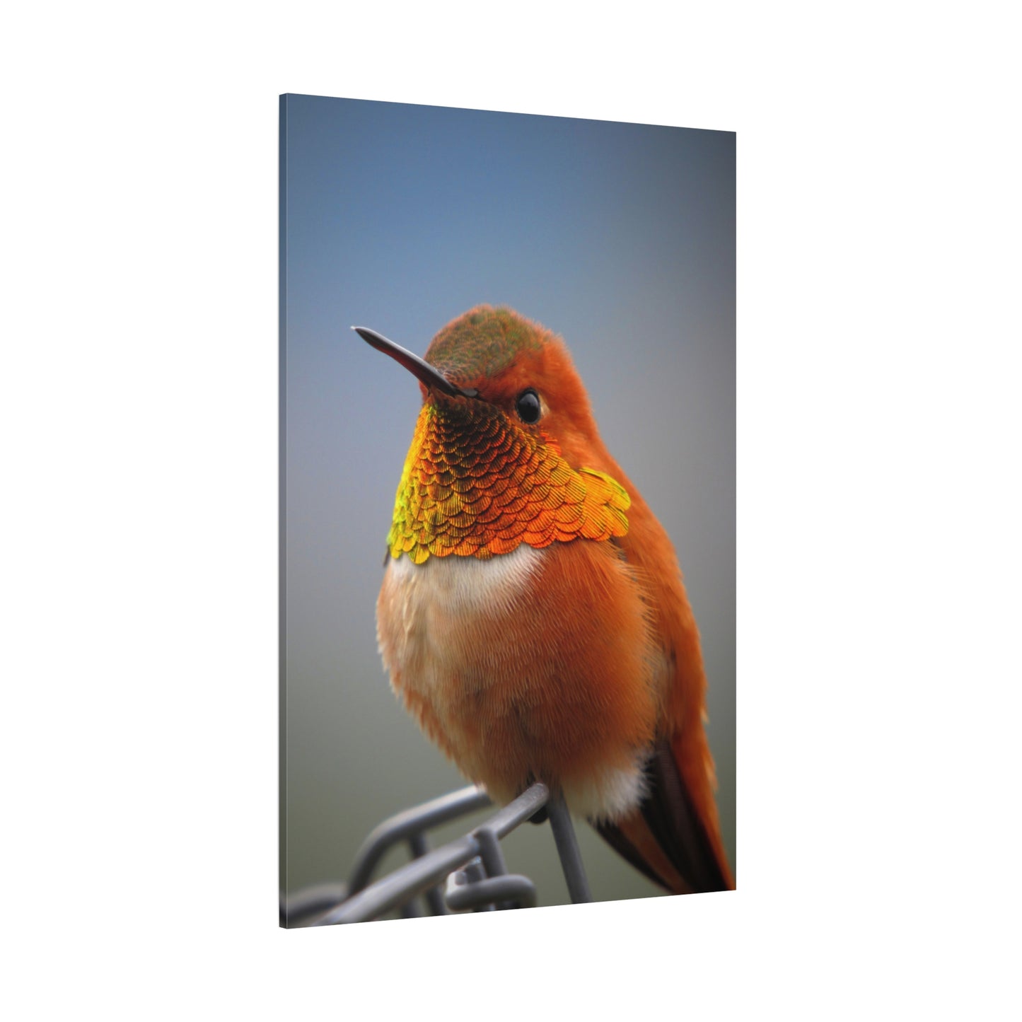 Vibrant Hummingbird Canvas Wall Art – Nature-Inspired Wildlife Decor for Home & Office Spaces