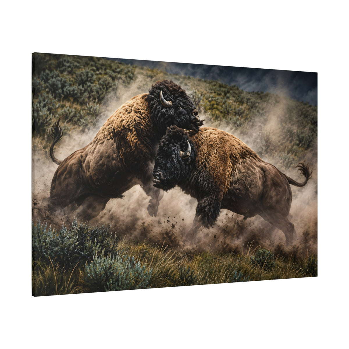 Bison Bulls Fighting in Dust Wrapped Canvas Wall Art – Explosive Wildlife Action Print - ART OF ROYALS