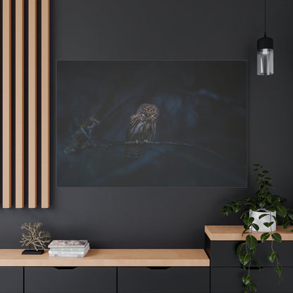 Enchanting Eurasian Pygmy Owl Canvas Wall Art – Woodland Beauty