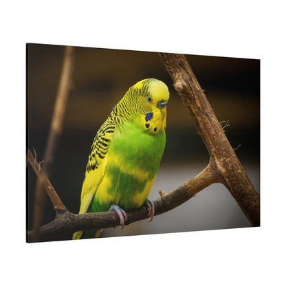 Charming Lovebird Canvas Wall Art – A Symbol of Affection and Beauty