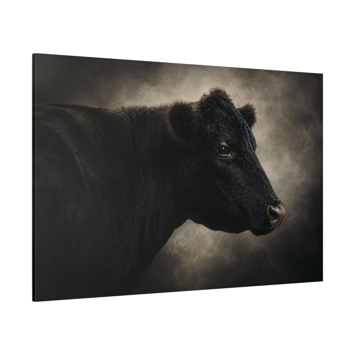 Black Angus Bull Studio Portrait Wrapped Canvas Wall Art – Fine Art Cattle Photography Print - ART OF ROYALS