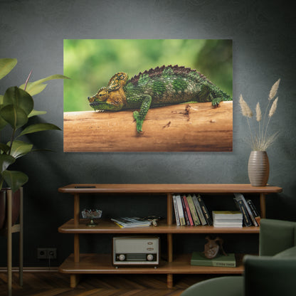 Vivid Chameleon Canvas Wall Art – Exotic Wildlife Print for Bold Nature-Inspired Decor