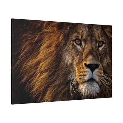 Majestic Lion Canvas Wall Art