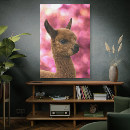 Adorable Alpaca Foal Canvas Wall Art – Nature’s Whimsical Charm