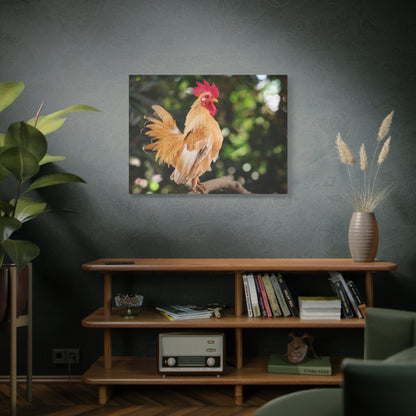 Vibrant Rooster Canvas Wall Art – Rustic Farmhouse Decor