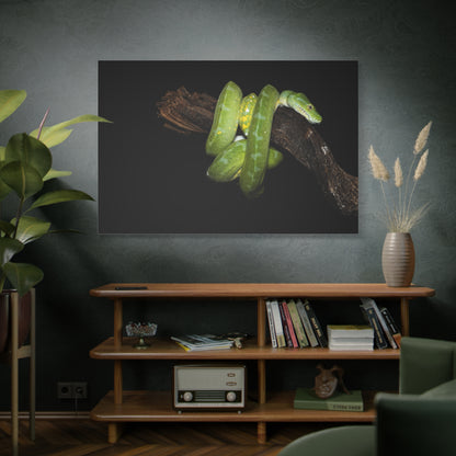 Golden Serpent Canvas Wall Art – Exotic Wildlife Print for Bold Nature-Inspired Spaces