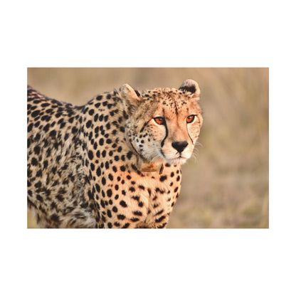 Cheetah Canvas Wall Art – Elegance of the Swift Predator