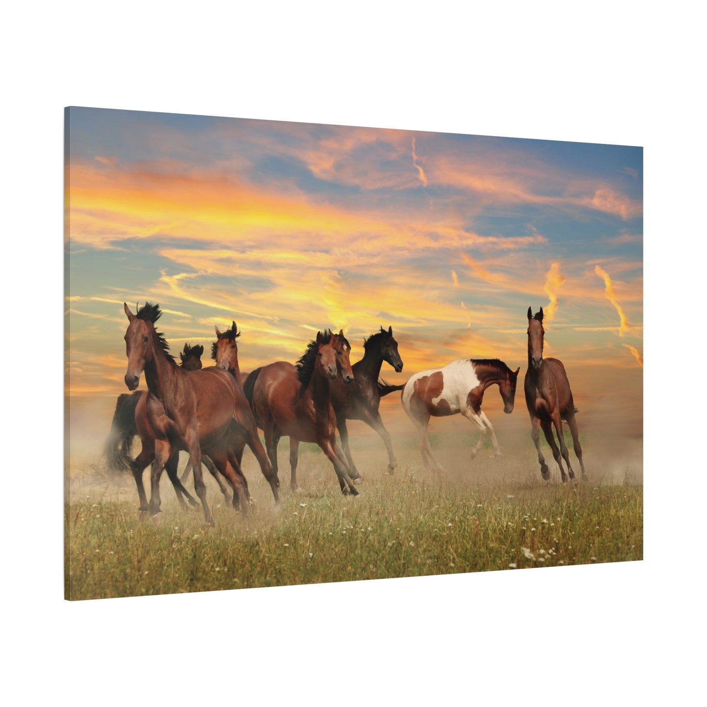 Serene Horses in Rolling Landscape Canvas Art – Nature’s Harmony