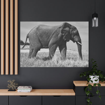 Majestic Elephant Canvas Wall Art – Grace and Strength of the Wild