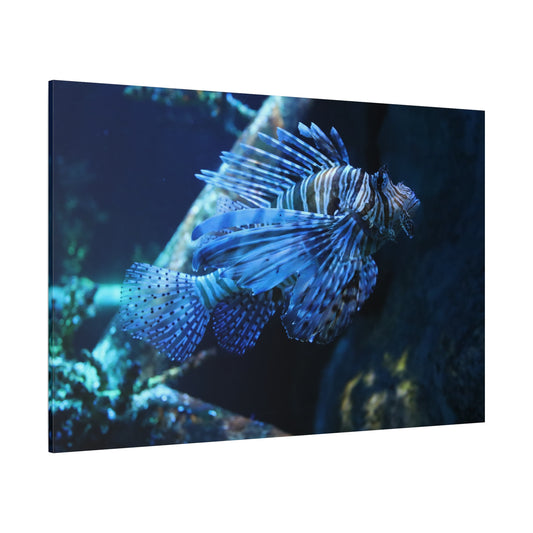 Regal Lionfish Canvas Wall Art – Stunning Underwater Design