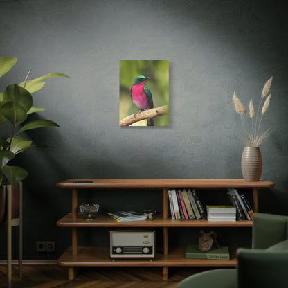 Charming Perched Bird Canvas Wall Art – Nature's Serenity in Every Detail