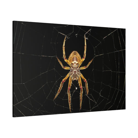 Mysterious Spider Web Canvas Wall Art – Nature's Intricate Design