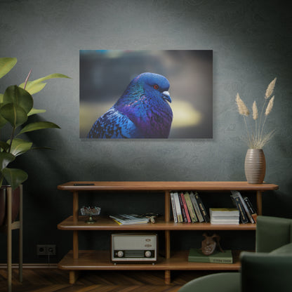 Serene Pigeon Canvas Art – Elegant Bird Feathers Print