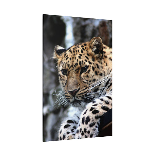 Majestic Cheetah Canvas Wall Art – A Tribute to Grace and Speed