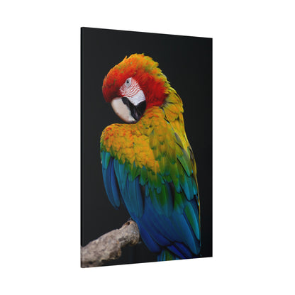 Macaw Parrot Canvas Wall Art – A Masterpiece for Bird Lovers