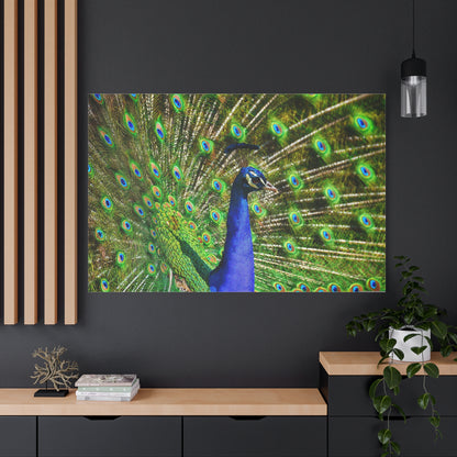 Vibrant Peacock Canvas Wall Art – Elegant Wildlife Decor for Modern Interiors