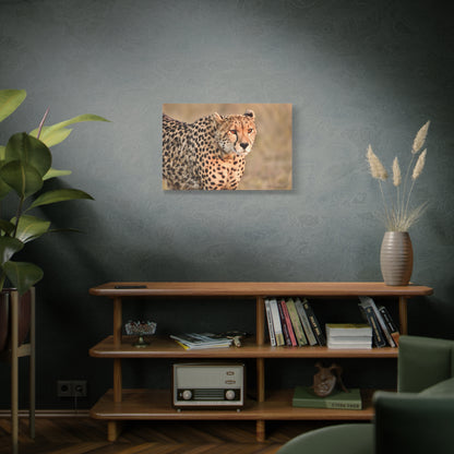 Cheetah Canvas Wall Art – Elegance of the Swift Predator