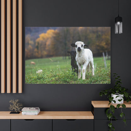 Charming Lamb Canvas Wall Art – Serene Pastoral Beauty