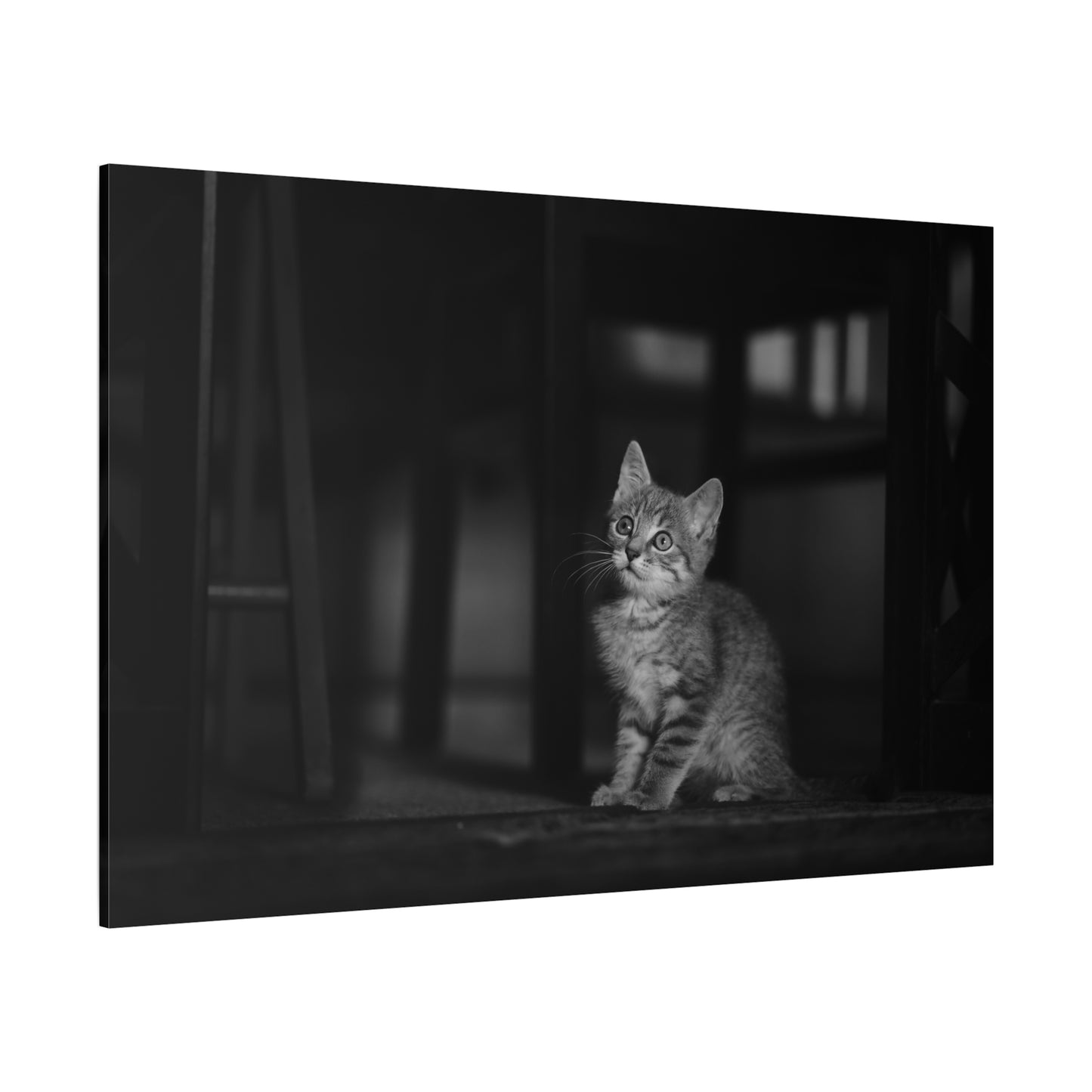 Adorable Kitten Canvas Wall Art – Cozy Charm and Whiskered Elegance