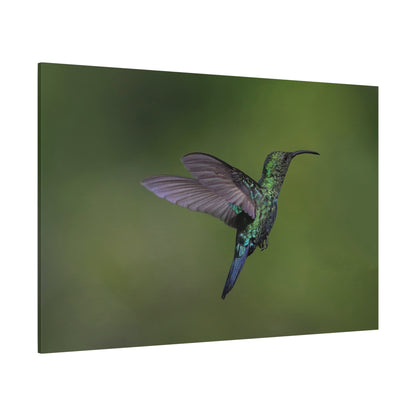 Dynamic Hummingbird in Motion Canvas Wall Art – Vibrant Nature Decor for Modern Spaces